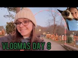 job offer, Christmas lights & homemade cookies! // vlogmas day 8 (12.15.23&12.16.23)