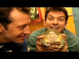 Zoboomafoo with the Kratt Brothers! FROG | Full Episodes Compilation