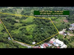 Farm Lot for Sale : 76,569 Sqm (1,600 / Sqm) Norzagaray Bulacan San Mateo Pinagkamaligan