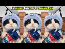 Cat memes Road Trip to Diamond Park