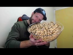 🔴Talking About Nuts While Eating Nuts