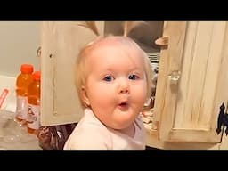 Try Not to Laugh at These Hilarious Baby Moments - Funny Baby Videos