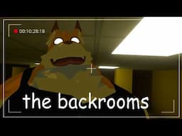 The Backrooms ?!- A softspoken furry asmr documentary