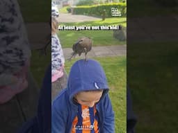 Bird Perches on Boy's Head And Leaves a Surprise