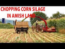 HARVESTING CORN In Lancaster County's AMISH LAND..Chopping Corn for Silage Using Horses in Lancaster