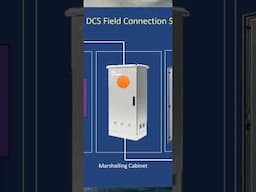 DCS Architecture: Field Connection Simplified!