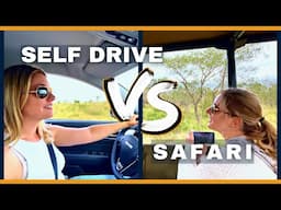 Self Drive Safari vs Guided Safari in Kruger Park 🐆