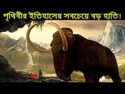 পৃথিবীর ইতিহাসের সবচেয়ে বড় হাতি Mammoth || Largest Elephant of The World Mammoth | Mammoth Bangla