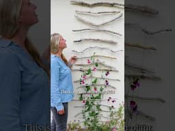 🌿 DIY Plant Trellis that you can make with sticks #gardening #garden #gardeningtips