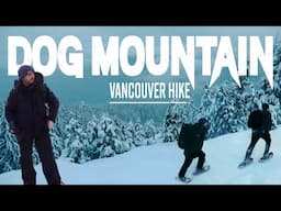 Dog Mountain: Underrated Hike