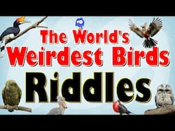 Guess the World’s Weirdest Birds - Quiz for Kids | 15 Strangest Birds – Pictures and Facts