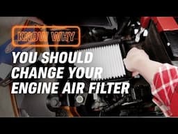 Why Do You Need to Change Your Engine Air Filter?