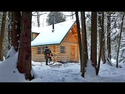 Dying Maple Leans Over the Cabin...I Tried to Bring it Down. / Ep112 / Outsider Cabin Build