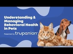 Understanding & Managing Behavioral Health in Pets | Vet Advice Webinar