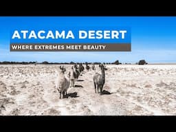 The Atacama Desert: Where Extremes Meet Beauty | Chile | South America