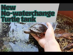 New No-waterchange painted turtle tank