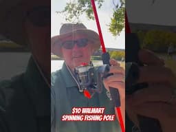 $10 Walmart Fishing Pole #fishing #fishingpole