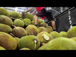 Fruits Heaven! Amazing Thai Fruits Cutting Skills