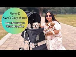 Our Morning To Night Routine | Morning to Night Routine of my puppies