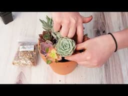 Mother's Day Succulent Arrangement | MCG Plant Along