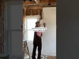 $1 house series: snippet from Sundays video ❤️ #tearingdowndrywall #onedollarhouse #oldhome