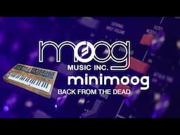 Restored Minimoog Model D - the Original Analog Synthesizer Back from the Dead!