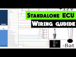 Wiring a Standalone ECU for beginners FROM SCRATCH | How to build a wiring harness