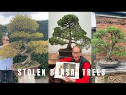 Theft of Bonsai Trees - Pictures