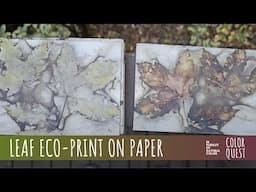 HOW TO ECO-PRINT WITH LEAVES ON PAPER | ORGANIC COLOR | MAPLE ALDER | BUNDLE DYE | VANCOUVER ISLAND