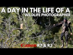 A Day in the Life of a Ethical Professional Wildlife Photographer | Canon R3-R7 Prime & Zoom lenses