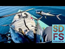 Baja California YELLOWFIN TUNA Fishing LIMITS | SOLO SKIFF Bahia Asuncion BCS Mexico Part 1