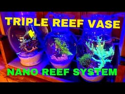 TRIPLE REEF VASE - NANO REEF AQUARIUM SYSTEM