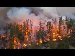 A University of Maryland Study Shows the Health Impact of the Canadian Wildfires