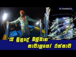 Unique! Hook Fishing At Night I Catching Ribbonfish In Sea, Sri Lanka