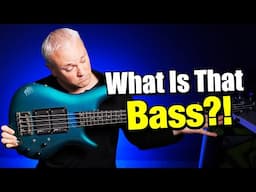 The Craziest Ibanez Bass You'll EVER See!!