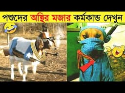 পশুদের মজার কর্মকান্ড ক্যামেরায় ধরা পড়া | Funny Animals Video 2023 (Part-20) | mayajaal