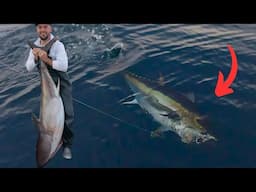 California Bluefin Tuna Fishing - HI SPEED TROLLING