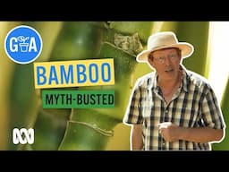 Everything Bamboo! | Discovery | Gardening Australia