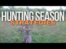 Deer Hunting Strategies For 2024