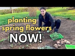 planting MORE flowers for early Spring