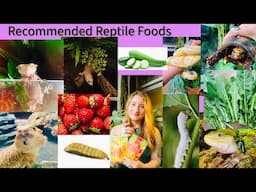 Best Foods For Reptiles!