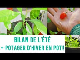 POTAGER DE BALCON : composte 🌷 semis d'hiver feuille 🌱 + BILAN de l'été 💸