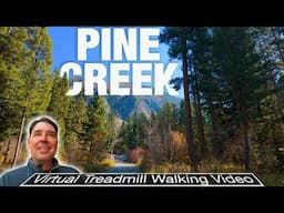 Breathtaking Forest Trail Walk You NEED - Experience Montana - Pine Creek, MT - City Walks