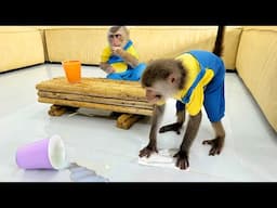 Smart monkey Bim Bim helps dad clean the house