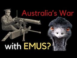 Animals in War - How Human Conflict has Involved Wildlife