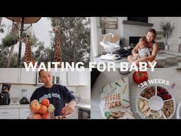 WAITING FOR BABY VLOG: zoo morning, beach day, meat delivery + groceries, waiting for baby!!!