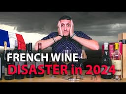 French Wine in 2024: The Smallest Vintage in a Century?