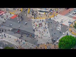 A brand-new Japanese language campus overlooking Shibuya Crossing 🇯🇵