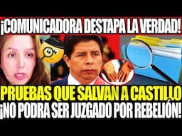 💥 ¡COMUNICADORA TRAE PRUEBAS QUE SALVAN A CASTILLO! NO PODRA SER JUZGADO POR REBELIÓN Y CONSPIRACIÓN