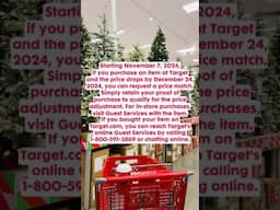 🎯Target Holiday Price Match Guarantee! #shorts